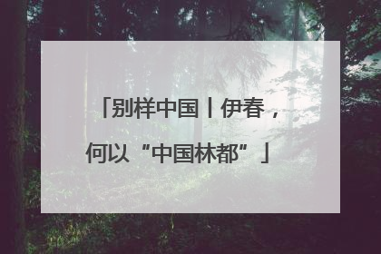 别样中国丨伊春，何以“中国林都”
