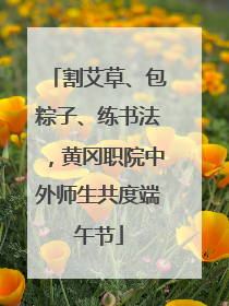 割艾草、包粽子、练书法，黄冈职院中外师生共度端午节