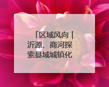 区域风向｜沂源、商河探索县域城镇化“双样本”