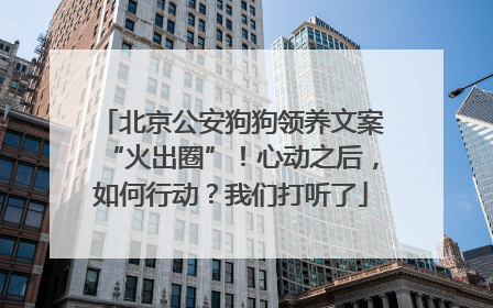 北京公安狗狗领养文案“火出圈”！心动之后，如何行动？我们打听了