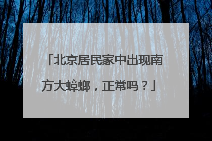 北京居民家中出现南方大蟑螂，正常吗？