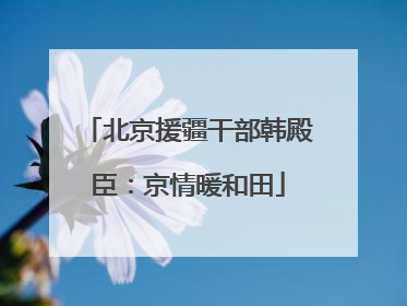 北京援疆干部韩殿臣：京情暖和田