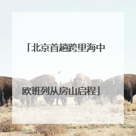 北京首趟跨里海中欧班列从房山启程