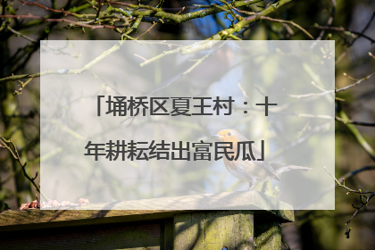 埇桥区夏王村：十年耕耘结出富民瓜