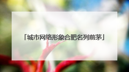 城市网络形象合肥名列前茅