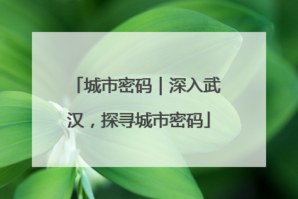 城市密码｜深入武汉，探寻城市密码