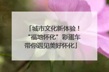 城市文化新体验！“福地怀化”彩蛋车带你遇见美好怀化