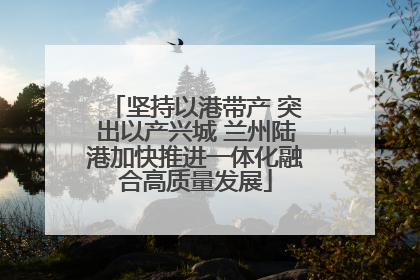 坚持以港带产 突出以产兴城 兰州陆港加快推进一体化融合高质量发展