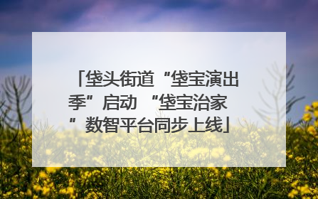 垡头街道“垡宝演出季”启动 “垡宝治家”数智平台同步上线