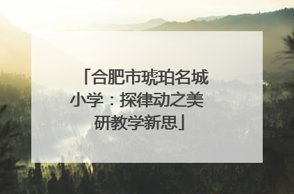 合肥市琥珀名城小学：探律动之美 研教学新思