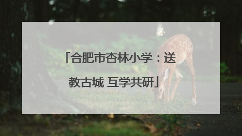 合肥市杏林小学：送教古城 互学共研