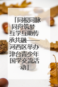 同根同脉同舟筑梦 互学互助传承共融——河西区举办津台青少年国学交流活动