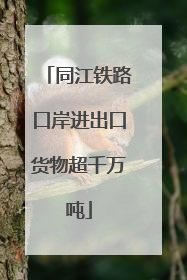 同江铁路口岸进出口货物超千万吨