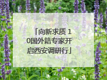 向新求质 10国外籍专家开启西安调研行