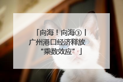向海！向海③丨广州港口经济释放“乘数效应”