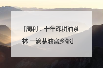 周利：十年深耕油茶林 一滴茶油富乡邻