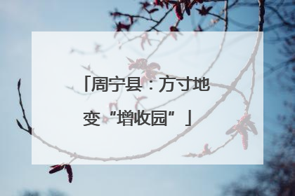 周宁县：方寸地变“增收园”
