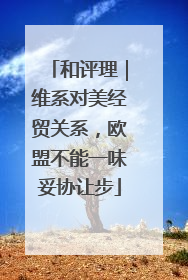 和评理｜维系对美经贸关系，欧盟不能一味妥协让步