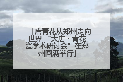 唐青花从郑州走向世界 “大唐・青花瓷学术研讨会”在郑州圆满举行