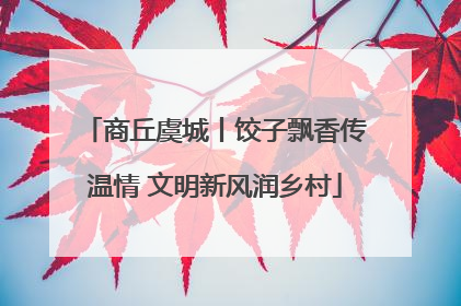 商丘虞城丨饺子飘香传温情 文明新风润乡村