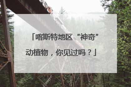 喀斯特地区“神奇”动植物，你见过吗？