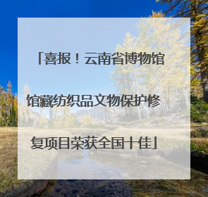 喜报！云南省博物馆馆藏纺织品文物保护修复项目荣获全国十佳