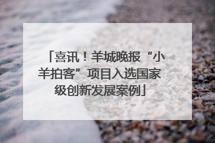 喜讯！羊城晚报“小羊拍客”项目入选国家级创新发展案例