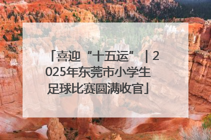 喜迎“十五运”｜2025年东莞市小学生足球比赛圆满收官