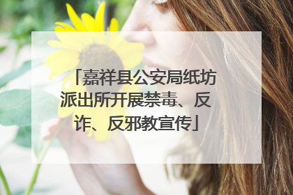 嘉祥县公安局纸坊派出所开展禁毒、反诈、反邪教宣传