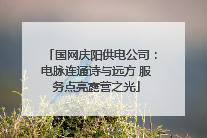 国网庆阳供电公司：电脉连通诗与远方 服务点亮露营之光