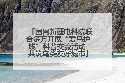 国网新疆电科院联合多方开展“爱鸟护线”科普交流活动 共筑鸟类友好城市