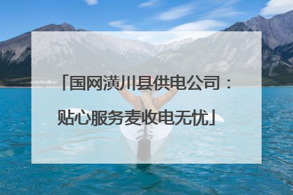 国网潢川县供电公司：贴心服务麦收电无忧