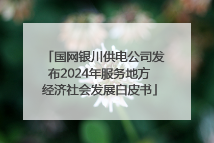 国网银川供电公司发布2024年服务地方经济社会发展白皮书