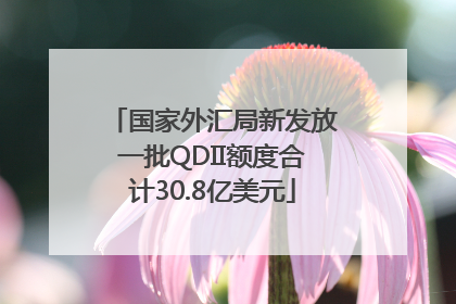 国家外汇局新发放一批QDII额度合计30.8亿美元