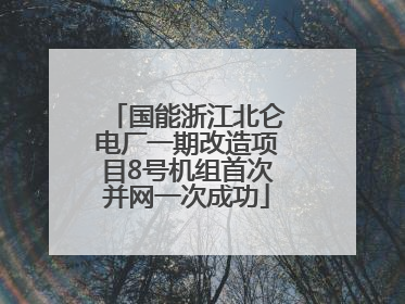国能浙江北仑电厂一期改造项目8号机组首次并网一次成功
