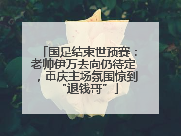 国足结束世预赛：老帅伊万去向仍待定，重庆主场氛围惊到“退钱哥”