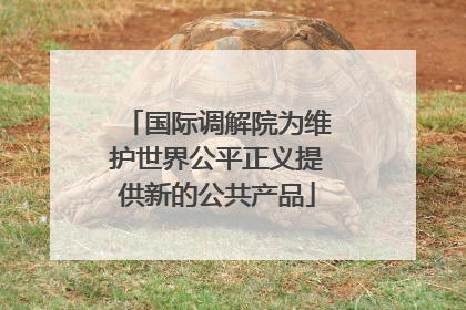 国际调解院为维护世界公平正义提供新的公共产品