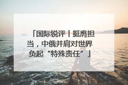 国际锐评丨挺膺担当，中俄并肩对世界负起“特殊责任”