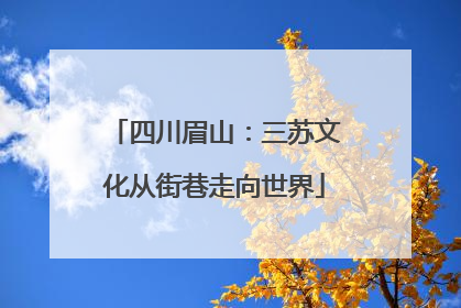 四川眉山：三苏文化从街巷走向世界