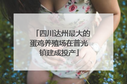 四川达州最大的蛋鸡养殖场在普光镇建成投产