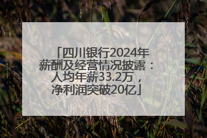 四川银行2024年薪酬及经营情况披露：人均年薪33.2万，净利润突破20亿