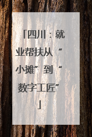 四川：就业帮扶从“小摊”到“数字工匠”