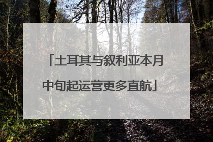 土耳其与叙利亚本月中旬起运营更多直航