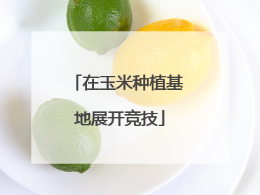 在玉米种植基地展开竞技