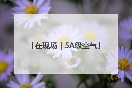 在现场｜5A级空气