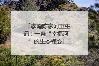 孝南陈家河重生记：一条“幸福河”的生态蝶变