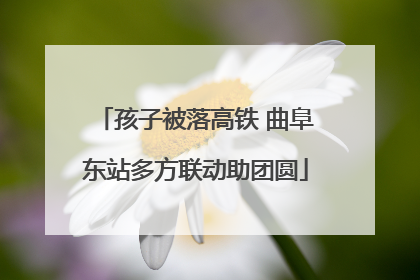 孩子被落高铁 曲阜东站多方联动助团圆