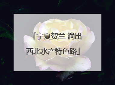 宁夏贺兰 淌出西北水产特色路