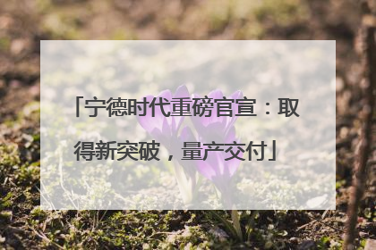 宁德时代重磅官宣：取得新突破，量产交付