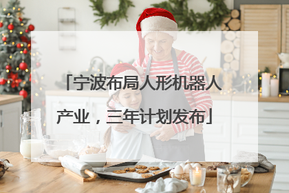 宁波布局人形机器人产业，三年计划发布